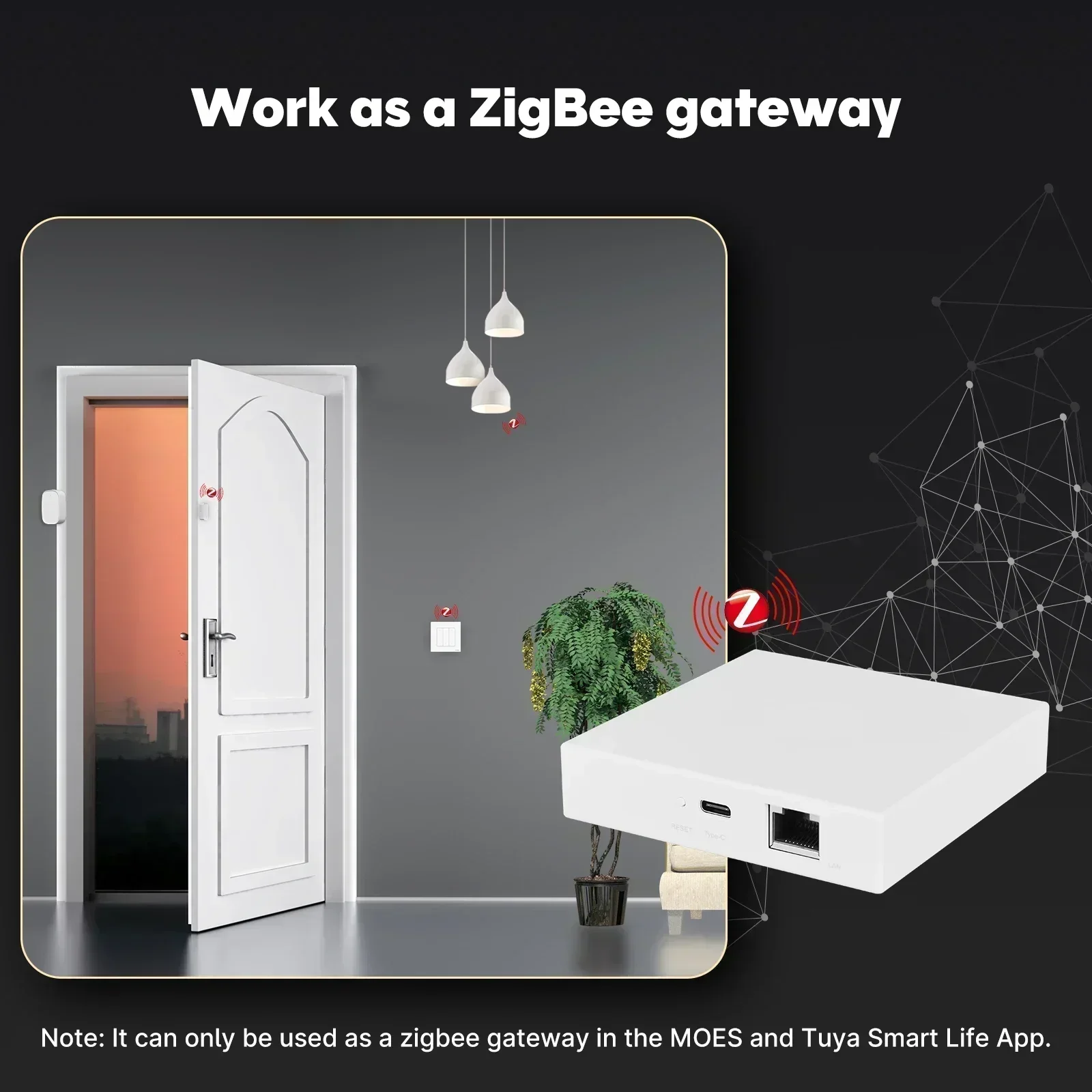 MOES Tuya Zigbee Matter Thread - مراجعة Smart Home Registration وسعره